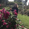 Student Female seeks a room Main Photo