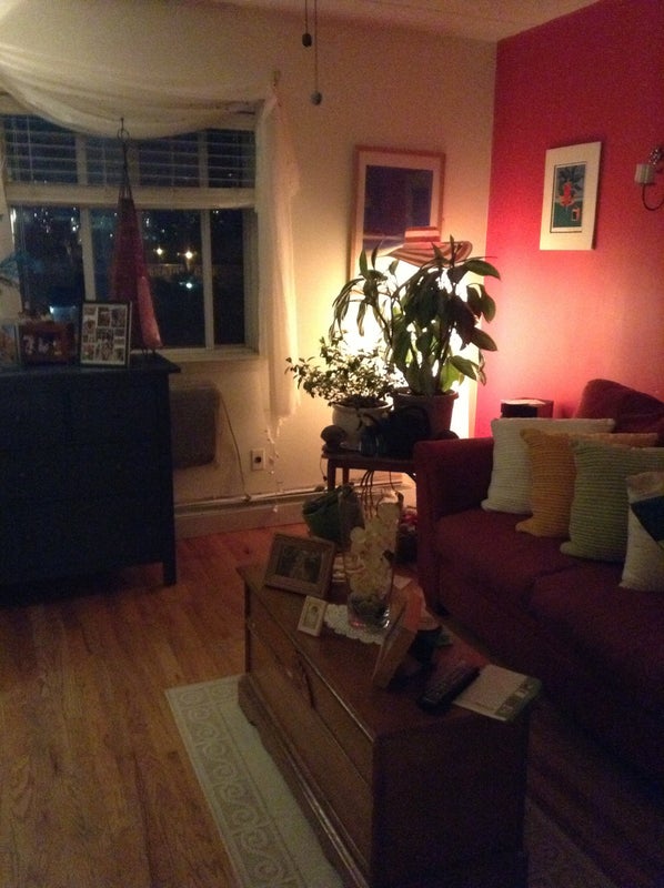 Rooms For Rent Near Queens College Rooms For Rent Near Queens College