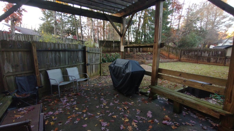 Photo 1: Back Yard
