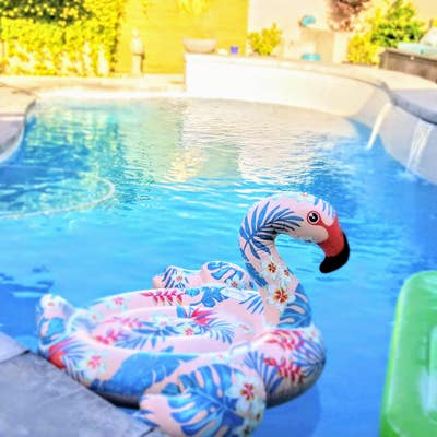 Pool Home, Looking for Roommate. All Utilities Inc Main Photo