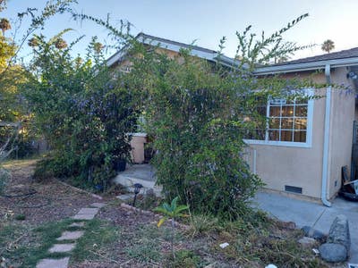 Room, private BR in cottage surrounded by greenery Main Photo