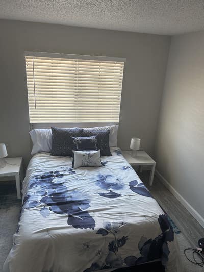 Female roommate that is clean Main Photo