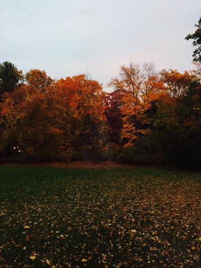 Westchester County-Hartsdale, NY 10530 Main Photo