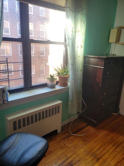Large Nice Room for Rent Main Photo