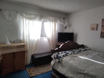 Tustin Meadows: 2nd Floor Large Room with Garden Main Photo