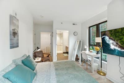 Master Room & Ensuite Bath - Adams Morgan Main Photo
