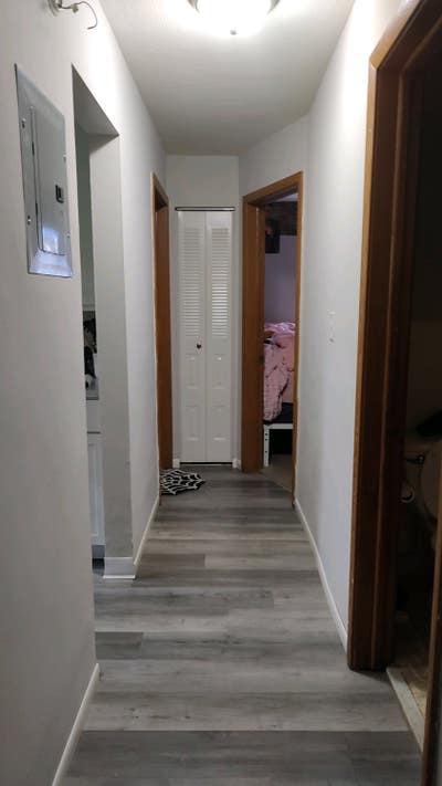 Roommate needed! Main Photo