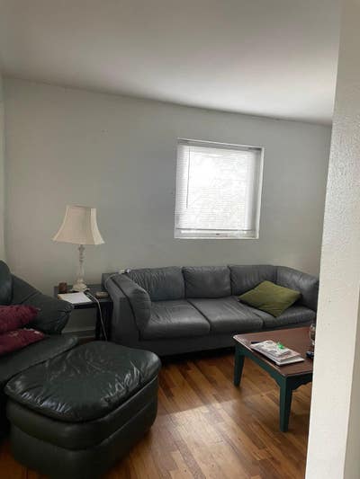 Looking for a chilled mature Roomie Main Photo
