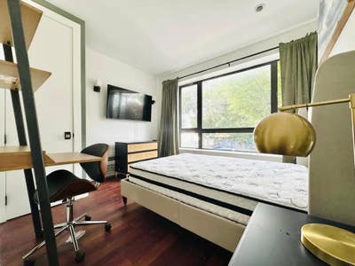 Bright furnished room, W/ rooftop, dishwasher #813 Main Photo