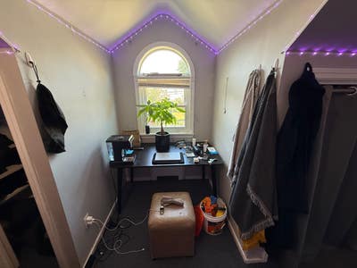 Big room available near Hofstra Main Photo