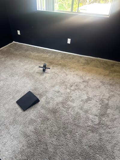 Looking for roommate Main Photo
