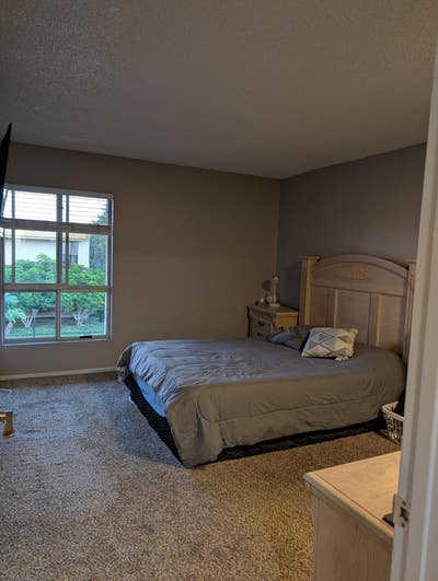 Looking for a Female Roommate Main Photo