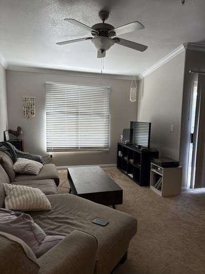 Room for Rent with Private Bathroom Main Photo