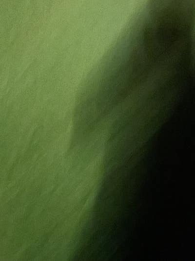 Room wanted in Jackson, Madison County, TN Main Photo