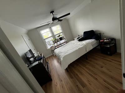 Roommate Wanted ðŸ¡ðŸ¾ Main Photo