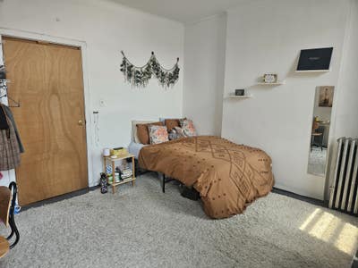 Sunny Bedroom In Large 3 Bedroom Apt BK HEIGHTS Main Photo