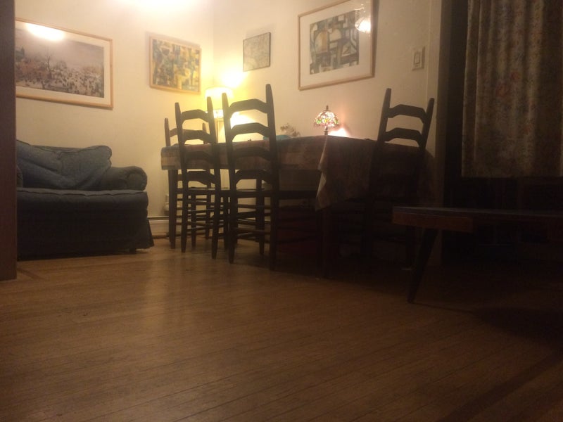 '975. Sunny, furn rmBrooklyn Heights/Cobble Hill' Room to Rent from