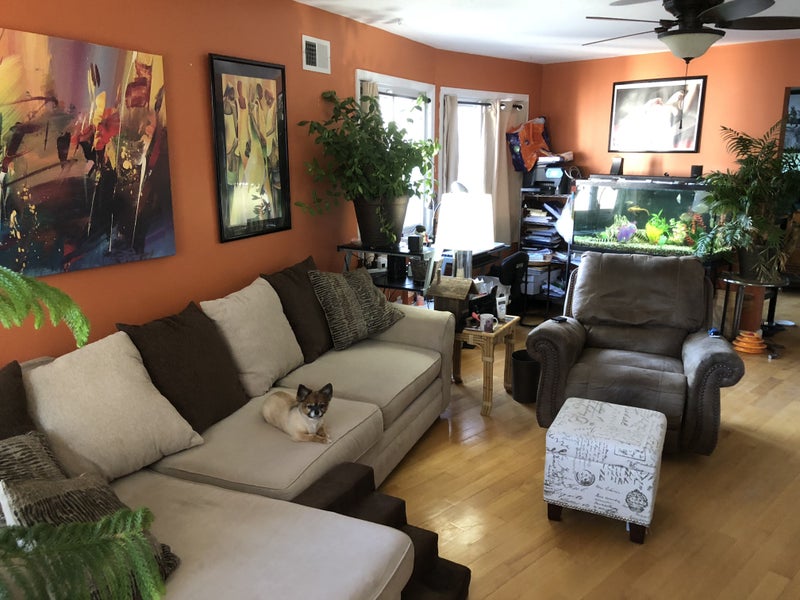 'Great Roommate Wanted' Room to Rent from SpareRoom