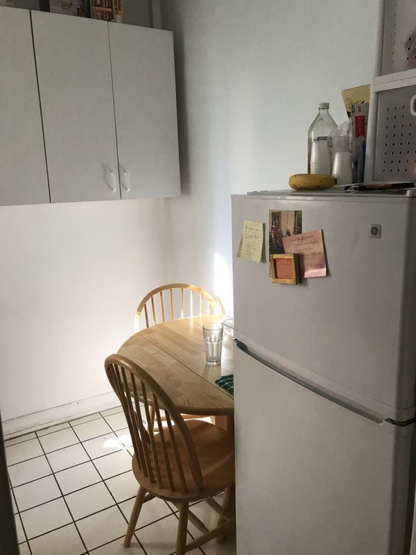 august sublet with option to renew lease room to rent from spareroom