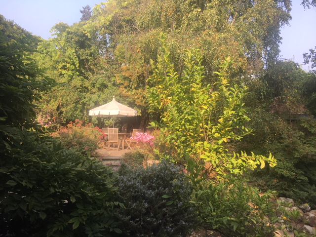 Photo 1: Garden