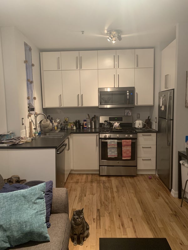 'One bedroom for rent in fully updated apartment' Room to Rent from