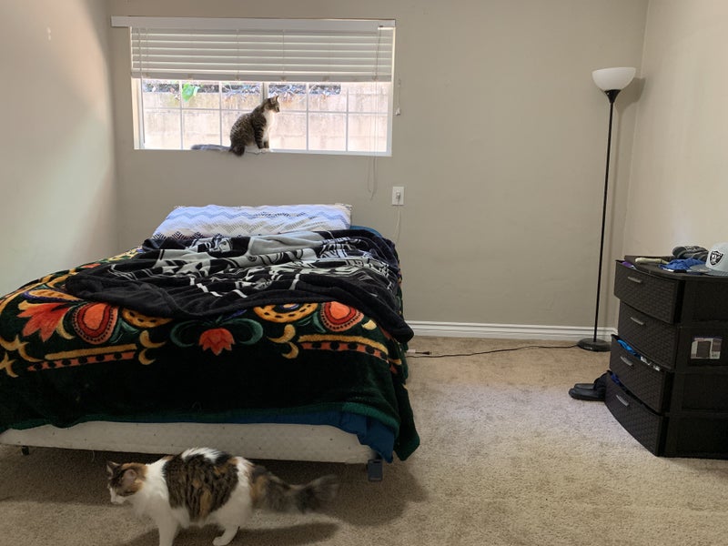 'Room for rent in Escondido' Room to Rent from SpareRoom