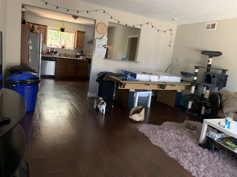 'Room for rent in Escondido' Room to Rent from SpareRoom