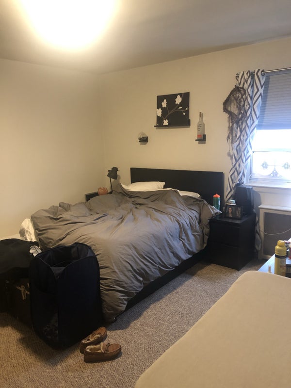 'One Bedroom for Rent in Mineola Apartment' Room to Rent from SpareRoom