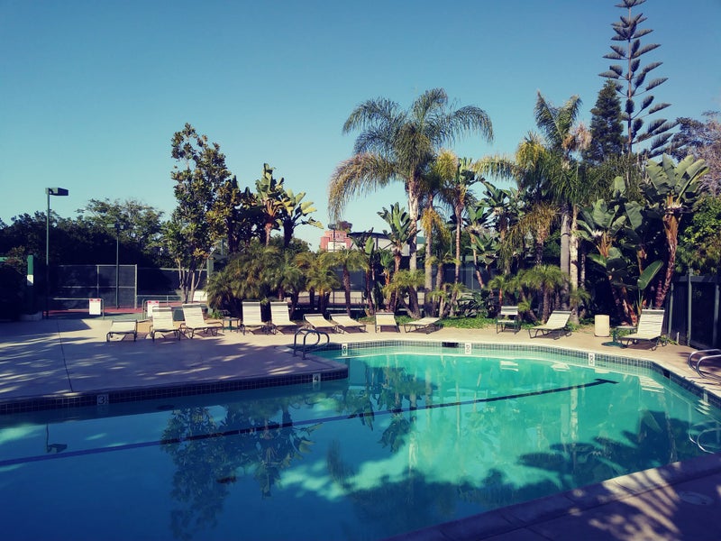 'La Jolla! Near Ucsd, Scripps, Va Hospital, Beach' Room to Rent from