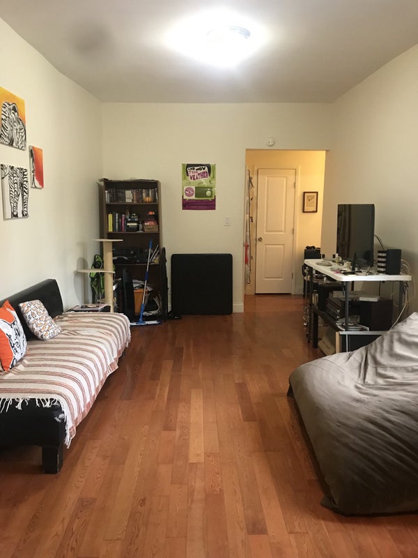 'Inwood cat mom seeking easygoing roommate' Room to Rent from SpareRoom