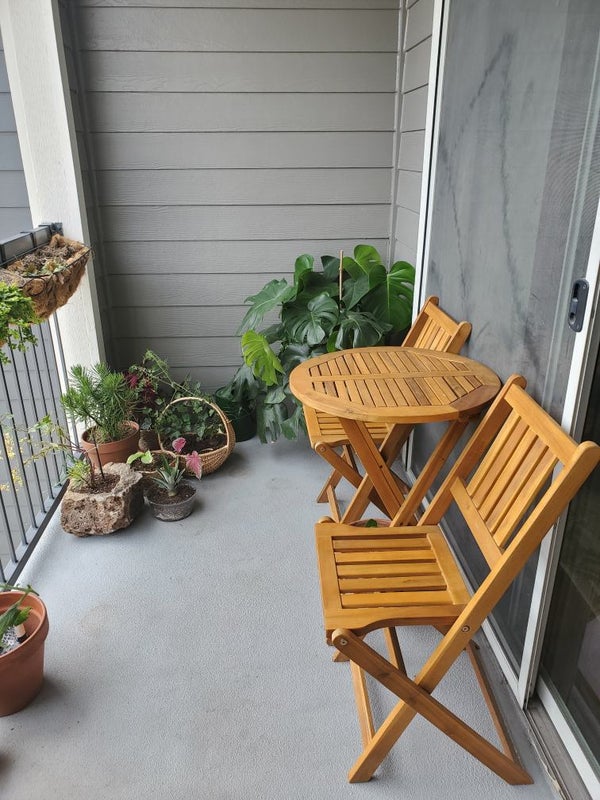 'Affordable Luxury apartments near Medical Center ' Room to Rent from