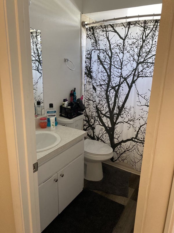 'Room for Rent Winter Park, FL ' Room to Rent from SpareRoom