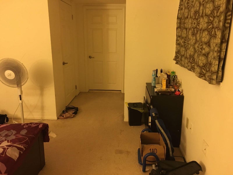 'Room for rent Newport,Jersey city(Female only)' Room to Rent from