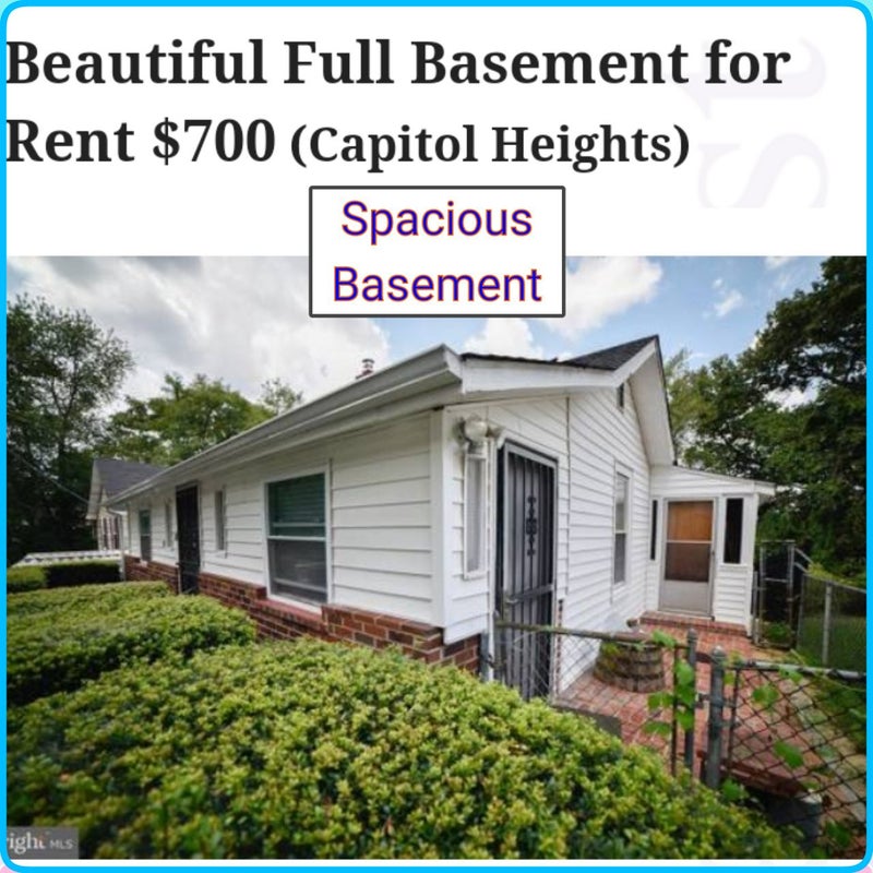 'Spacious Full Basement for Rent 700' Room to Rent from SpareRoom