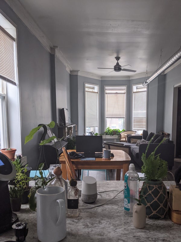 '2 rooms available Chicago Apartment in Bridgeport' Room to Rent from