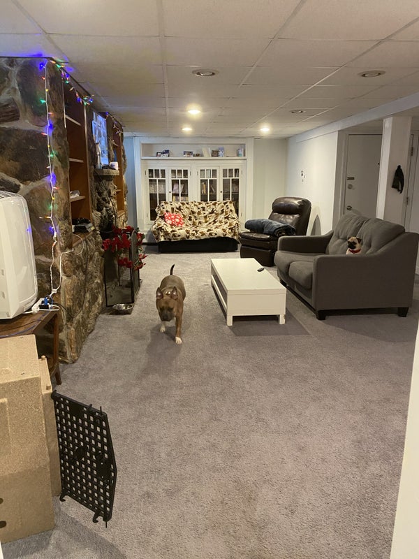 'Norwood Park Room' Room to Rent from SpareRoom