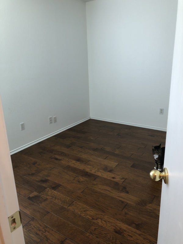 'Room for rent in Elgin' Room to Rent from SpareRoom