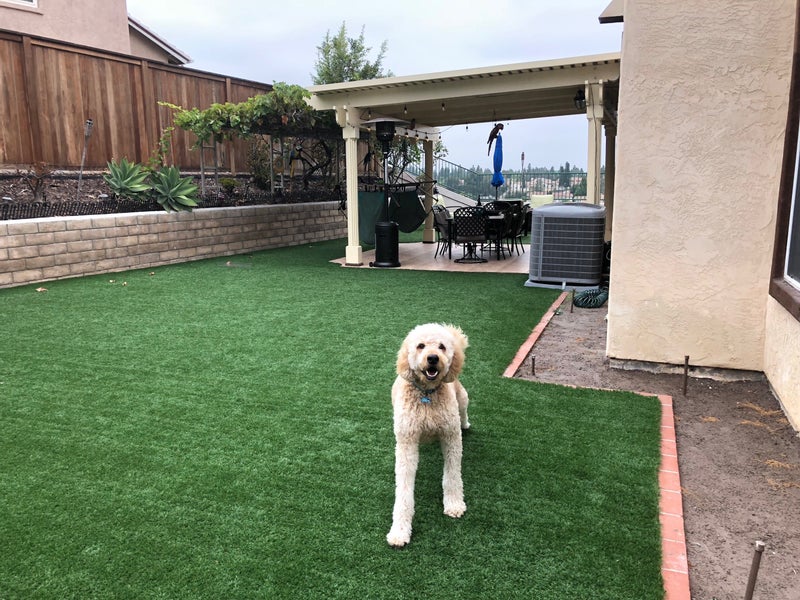 'Rancho Del Rey home ' Room to Rent from SpareRoom