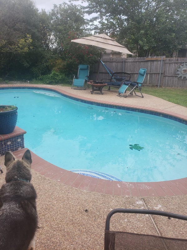 'Room for rent in desoto ' Room to Rent from SpareRoom