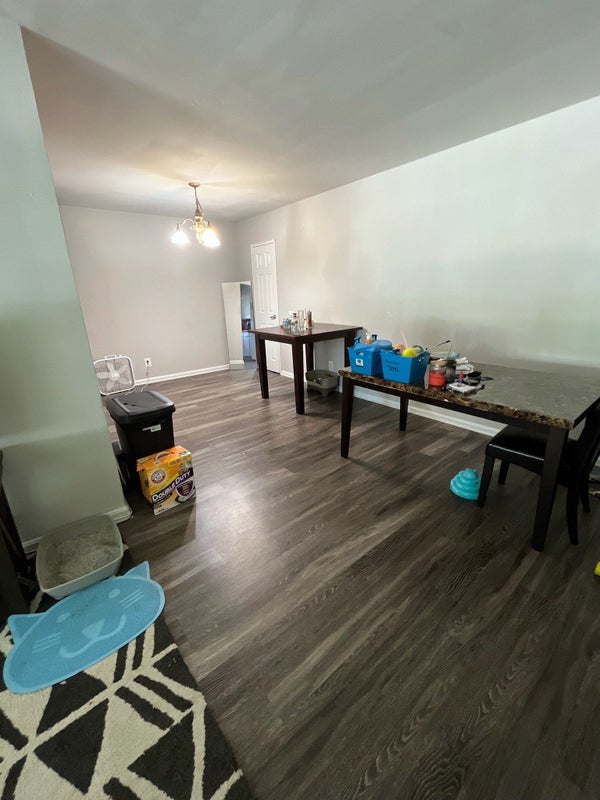 '650 Room for Rent in Adelphi' Room to Rent from SpareRoom