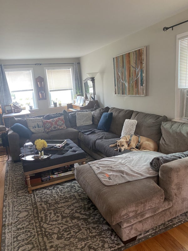 'Best you can find ' Room to Rent from SpareRoom