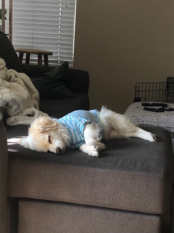 seeking-room-with-private-restroom-roommate-from-spareroom