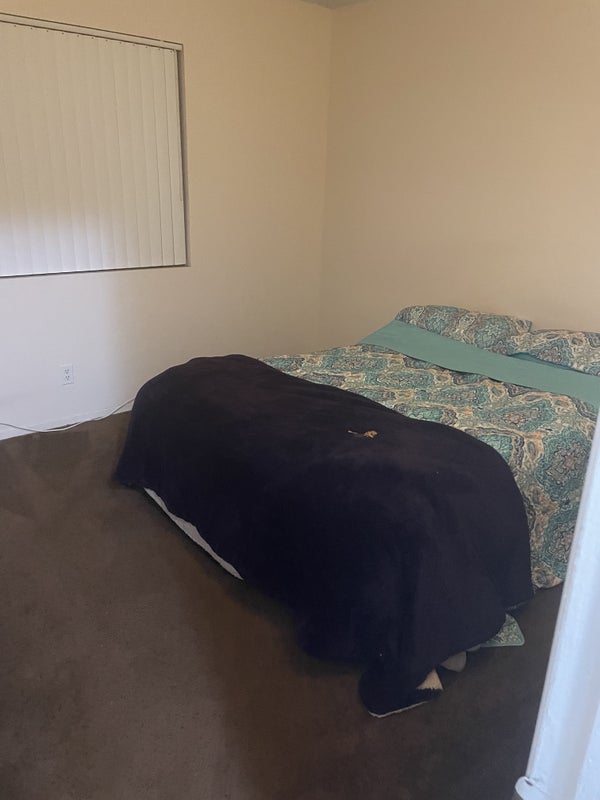 'Casa de Oro Room for Rent' Room to Rent from SpareRoom