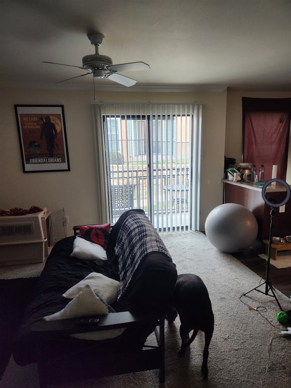 'Shared Apartment with USMC Veteran' Room to Rent from SpareRoom