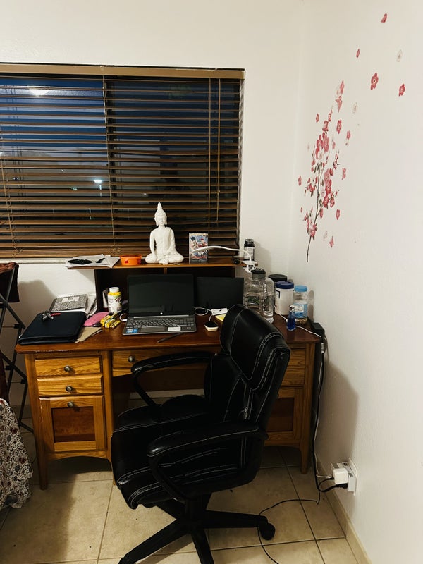 'Spacious private room with private bath ' Room to Rent from SpareRoom