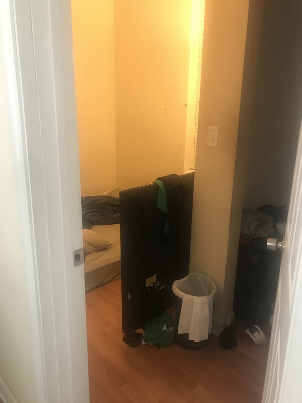 'Pilsen room available with 2 females ' Room to Rent from SpareRoom