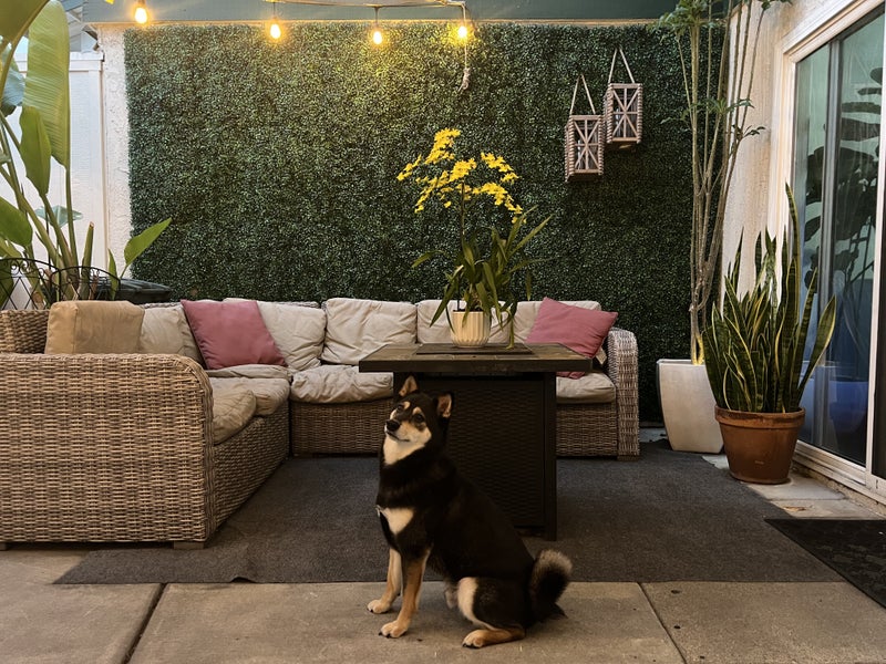 'Room for rent in Buena Park' Room to Rent from SpareRoom