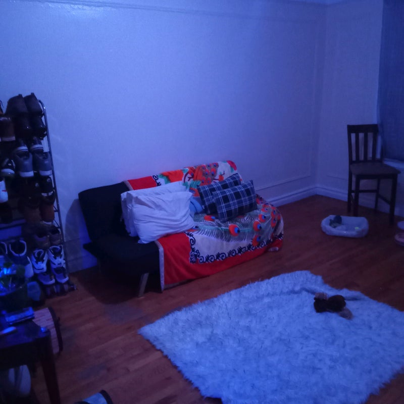 'Large One Bedroom with utilities included Bronx ' Room to Rent from