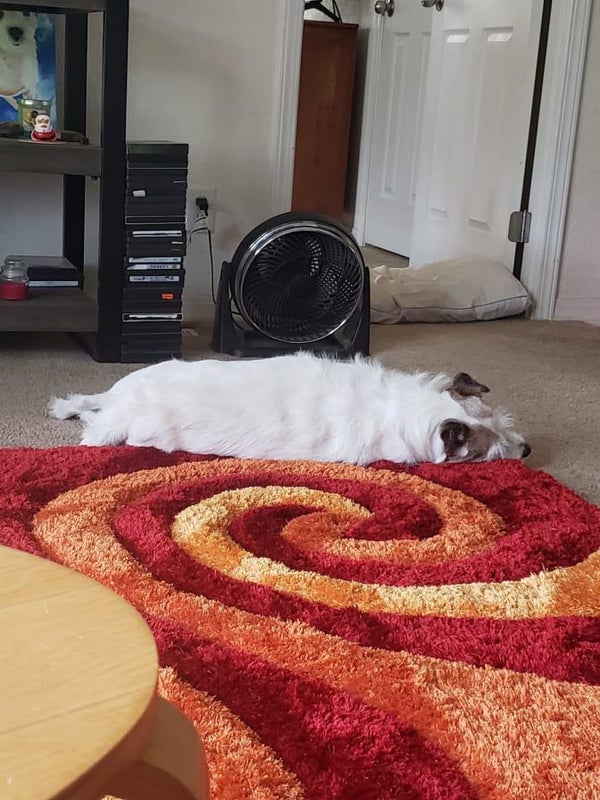 'Small Room for rent in Escondido CA 92027' Room to Rent from SpareRoom