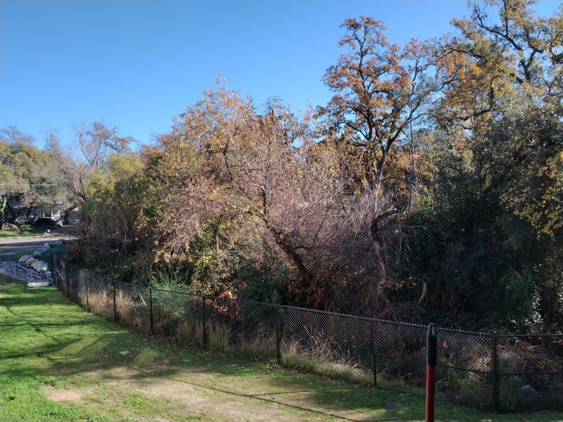 '138 sq ft Private Room avail Jan 5, Rocklin, 575' Room to Rent from